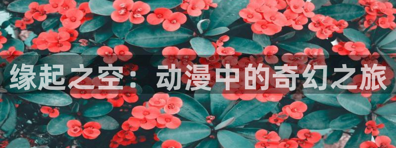 囧次元app最新：缘起之空：动漫中的奇幻之旅