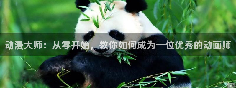 囧次元链接：动漫大师：从零开始，教你如何成为一位优秀的动画师