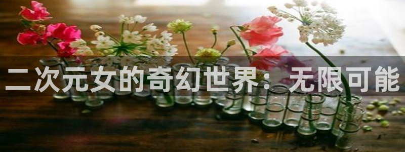 囧次元正版app：二次元女的奇幻世界：无限可能
