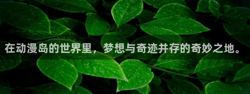 囧次元官方最新版：在动漫岛的世界里，梦想与奇迹并存的奇妙之地。